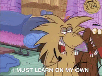 nickrewind nicksplat angry beavers GIF