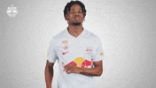 Football Sport GIF by FC Red Bull Salzburg