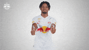 Football Driving GIF by FC Red Bull Salzburg