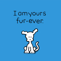 I Love You Dogs GIF by Chippy the Dog