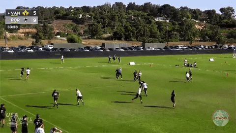 flikulti ultimate frisbee flik GIF