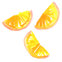 juice oranges Sticker by Lilly Pulitzer