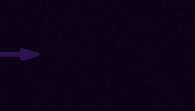 Austria Wien Goat GIF