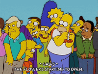 homer simpson GIF