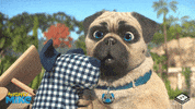 boomerangtoons happy funny fun cute GIF