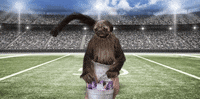 super bowl 2016 GIF by Mountain Dew