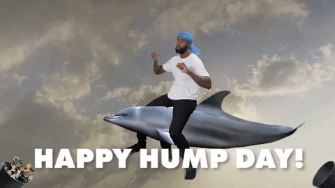 Congrats Congratulations GIF by Sage and lemonade