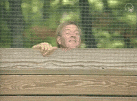 Behind The Fence