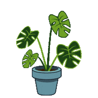Plant Sticker by Foundry
