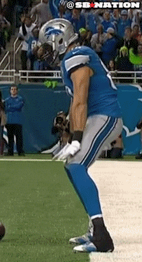 detroit lions nfl GIF