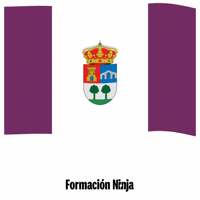 Castilla-La Mancha Flag GIF by Formación Ninja
