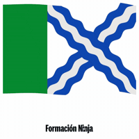 Flag Spain GIF by Formación Ninja