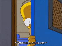 homer simpson GIF