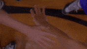 Air Bud Dogs GIF by Air Bud Entertainment