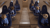 Dogs Nasa GIF by Air Bud Entertainment