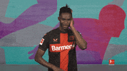 Bayer Leverkusen Dj GIF by Bundesliga