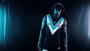 Aussie Rules Sunglasses GIF by Port Adelaide FC
