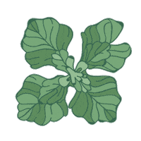 Makeup Skincare Sticker by Studio Tropik