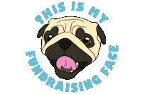 pugrescueaustin pug fundraiser pra pugface Sticker