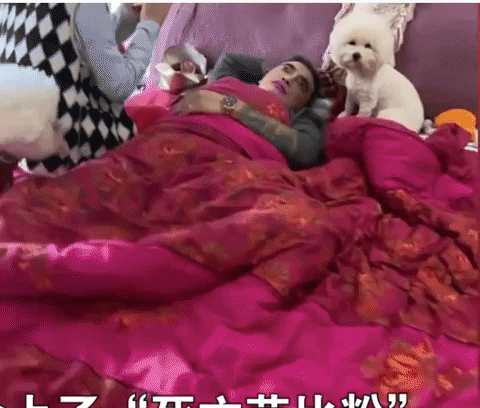 giphyupload GIF