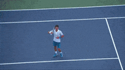 cincytennis tennis cincinnati atp djokovic GIF
