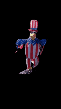 4Th Of July Sticker GIF