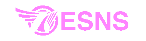 Festival Netherlands Sticker by ESNS
