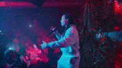 GIF by Domani