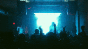 GIF by Domani
