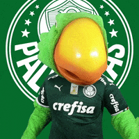 tamo junto friends GIF by SE Palmeiras