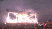 live music dance GIF by Tiësto