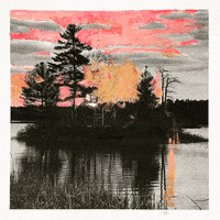 GIF by Joseph Fontinha