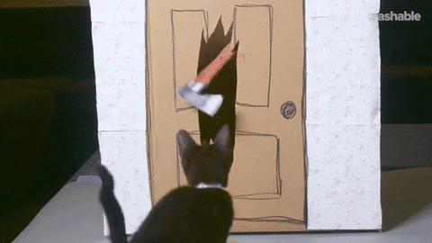cat halloween GIF by mtv