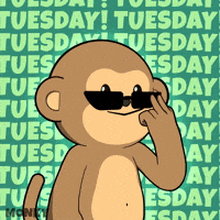 Coffee Work GIF by Wise Monkey Meme