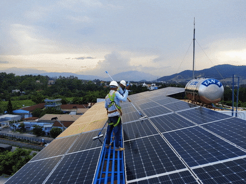 dark11cobra giphyupload GIF