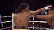 gym boxing GIF by SHOWTIME Sports