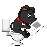 Staffordshire Bull Terrier Staffy Sticker by SBT1935