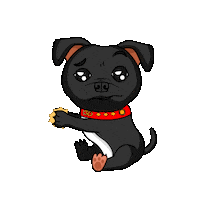 Staffordshire Bull Terrier Staffy Sticker by SBT1935