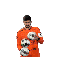 Letsgovamos Sticker by Federação de Andebol de Portugal