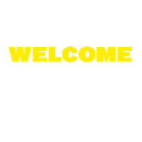 party amsterdam Sticker by Armada Music