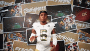Georgia Tech Football GIF by Georgia Tech Yellow Jackets