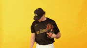 Cal State La Sport GIF by Cal State LA Golden Eagles