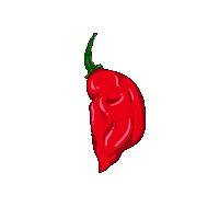 Tips Chilli Sticker