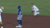 Blue Jays Baseball GIF by Toronto Blue Jays