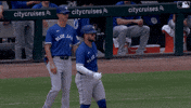 Blue Jays Baseball GIF by Toronto Blue Jays