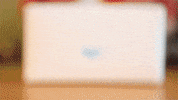 GIF by by The Barkers