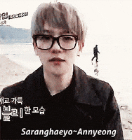Glasses Korea GIF