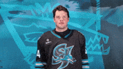 San Jose Hockey GIF by San Jose Barracuda