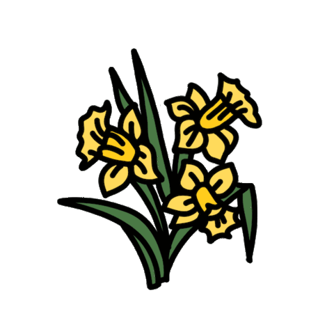Sticker by Ivo Adventures