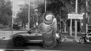Driving Musica Catalana GIF by Guillem Gisbert